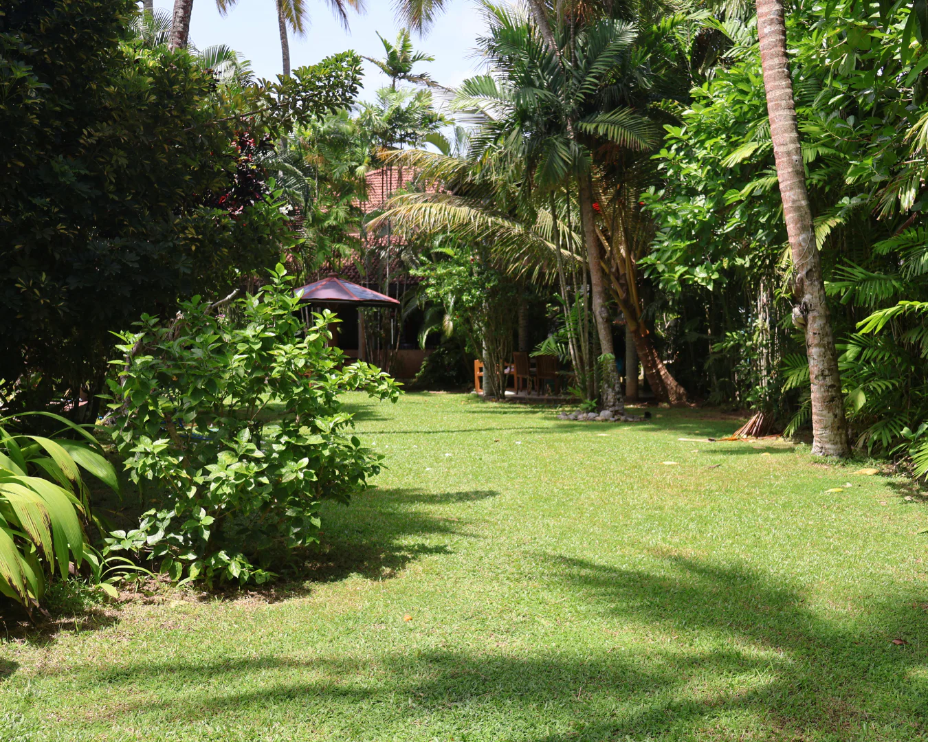 Lush garden at Pahalage Gästehaus in Beruwala